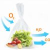 Túi GreenMAP Bảo Quản Rau Củ Quả Tươi Và Lâu Hơn