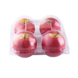 hộp nhựa đựng trái cây 3 trái 6 trái (2)