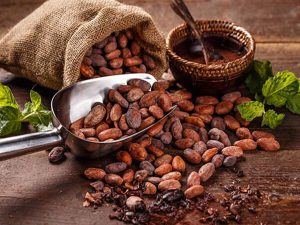 VQM Bao Quan Cacao Tho (4)
