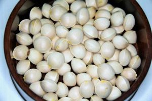 VQM Bảo Quản Quả Bạch Khô (1)