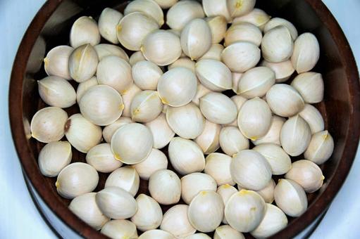 VQM Bảo Quản Quả Bạch Khô (1)