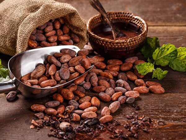 VQM-bao-quan-cacao-rang (3)